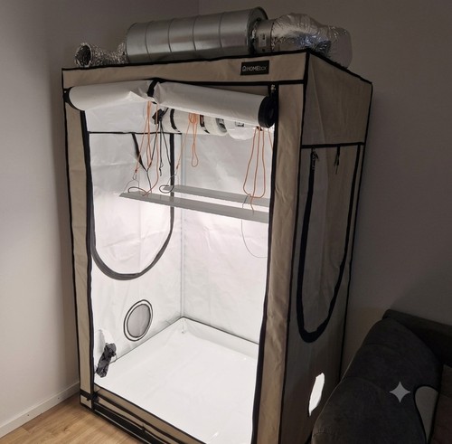 Homebox ambient r120 growzelt - homebox,