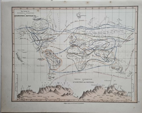 1878 antik map welt - 1878, of