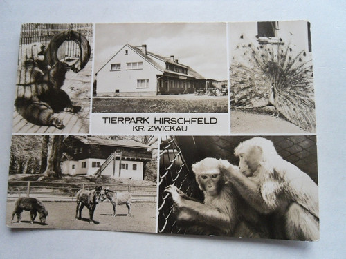 Hirschfeld tierpark - ak,