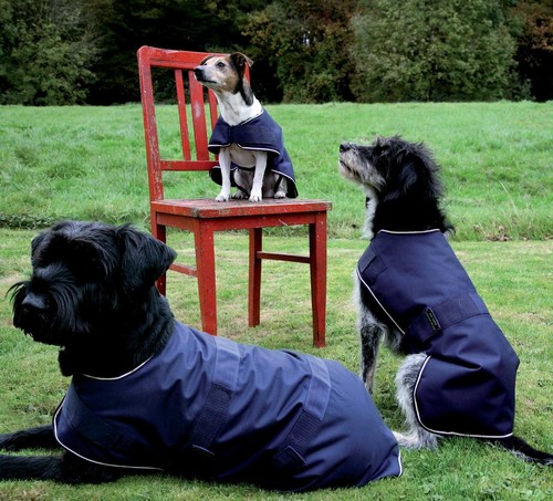 Regenhundemantel hundedecke - regenhundemantel,