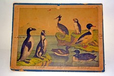 uralte (Schul-) Schautafel mit Enten u.ä. Tieren