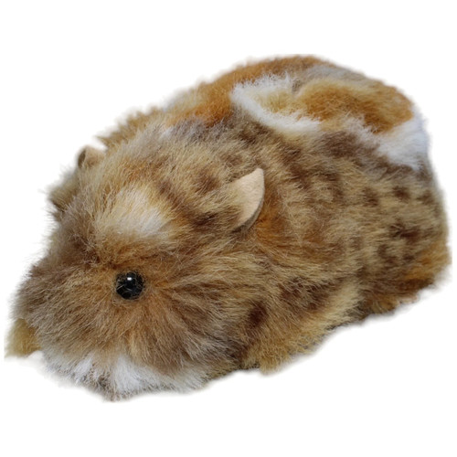 Meerschweinchen kuscheltier - meerschweinchen,