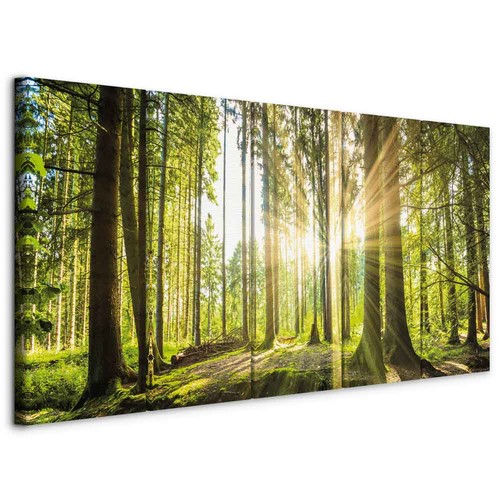 Wald vlies leinwandbild tlg - 5,