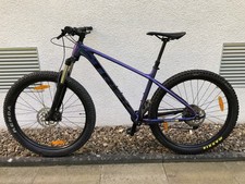 Trek Mountainbike 