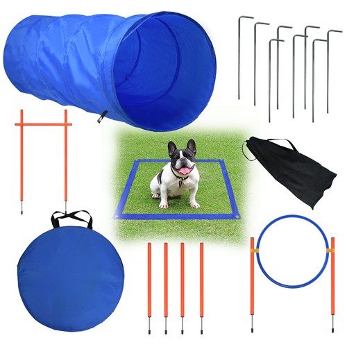 Dog agility hürden - dog, slalom