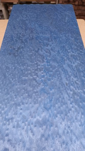 Blau vogelaugen ahorn - vogelaugen,
