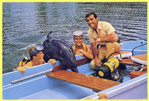 Flipper penny sammelbild - flipper,