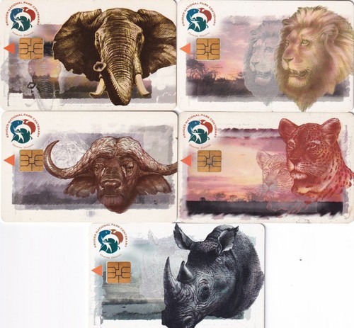 South africa chip the big - -,