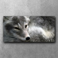 Leinwandbilder Wandbilder XXL