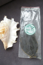 Metz Skalp Hahn cape Federn vollständig  Fliegenbinden angeln Angel Angelsport