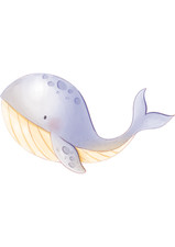 6x car sticker whale sticker