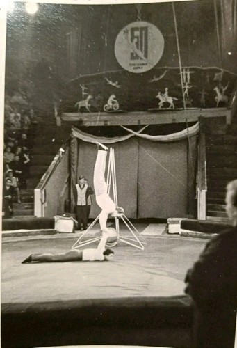 Zirkus artisten artistik - zirkus,