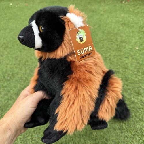 Roter gekräuselter lemur - roter,