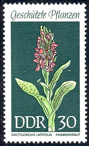 1461 heimische pflanzen - 1461,