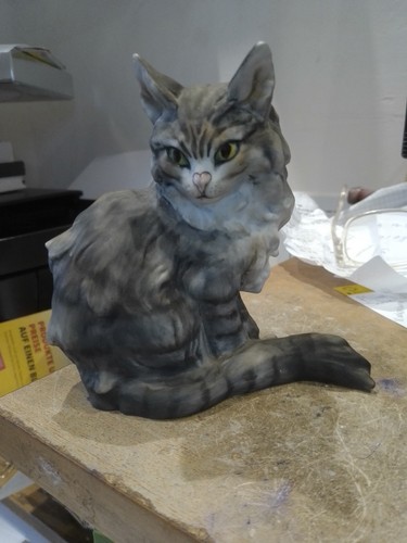 Sitzende katze maine coon - /,