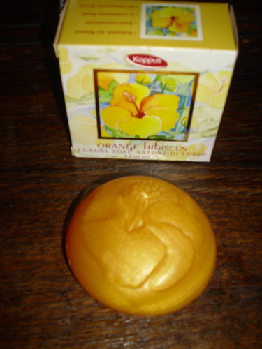 Kappus orange hibiscus - kappus,