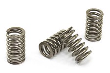 Kupplungsfedern Satz