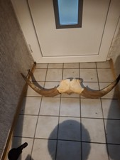 Hörner Schädel Horn Geweih Perchten Trophäe