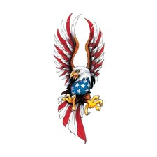 Aufkleber USA Adler Eagle Airbrush Sticker Bike Trike Truck 28 x 11,5 cm Decal