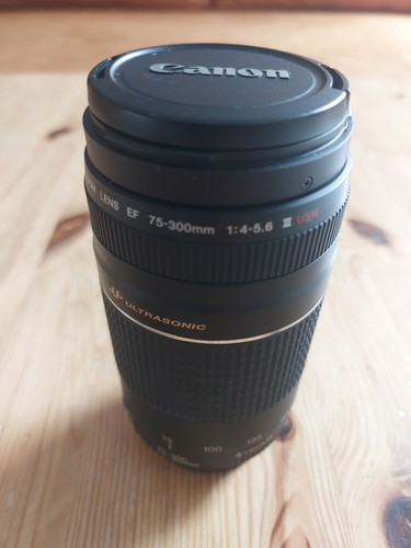 Canon zoom lens 300mm - canon, ef