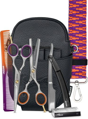 Jaguar basic set - set, stage