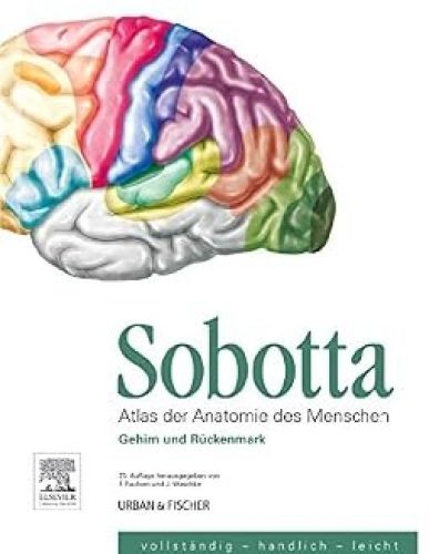 Sobotta atlas der - der, anatomie