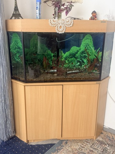 Aquarium komplett set inkl - komplett,