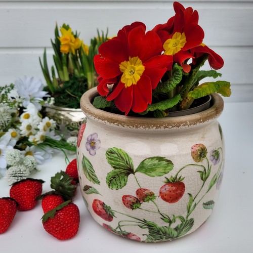 Blumentopf pflanztopf erdbeer - pflanztopf,
