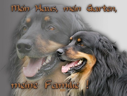 Hovawart hundewarnschild - hovawart,