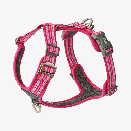 Dog copenhagen comfort walk - v3,