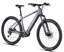 29 Zoll E-bike Elektrofahrrad