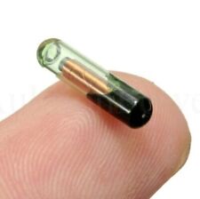 Wegfahrsperre Transponder Glas