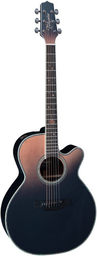 Takamine westerngitarre - takamine,