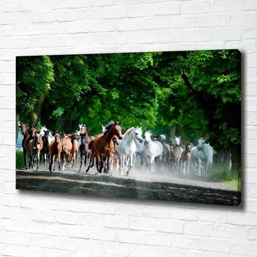 Leinwandbild kunst druck - leinwandbild, kunst-druck