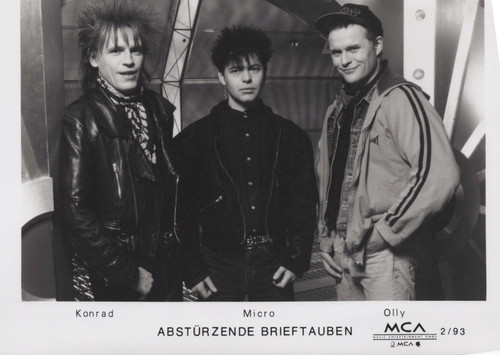 Abstorzende brieftauben photo - brieftauben,