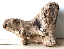 Treibholz Schwemmholz