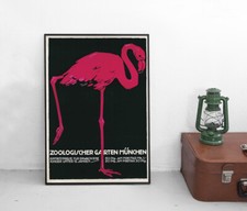 Poster Flamingo Zoologischer