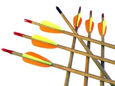 12 Holzpfeile Bogenpfeile