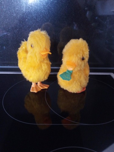 Alte kleine enten - 2,