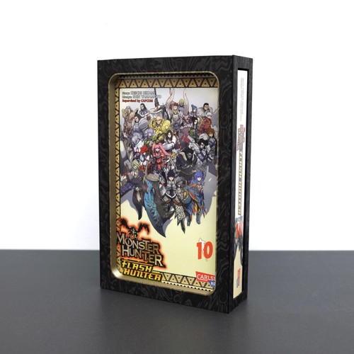 Monster hunter flash - hunter, 10