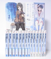 Rascal Does Not Dream of Bunny