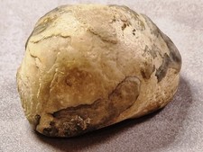 ? Ammonit Cleoniceras Versteinert Madagaskar 85Mio Jahre Opalisiert ?