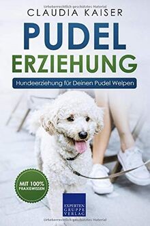 Pudel erziehung - pudel,
