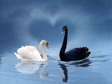 Ansichtskarte: ungleiche Liebe