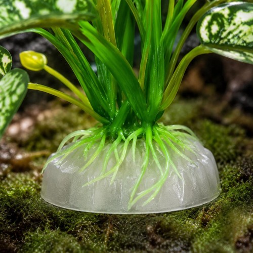 Künstliche terrarienpflanze - künstliche,