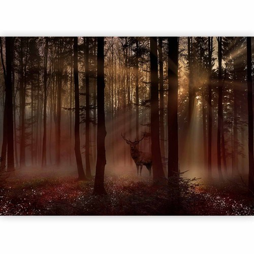 Wald landschaft vlies - landschaft,