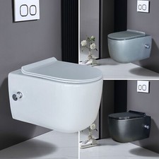 Wand WC Spülrandlos mit Sitz