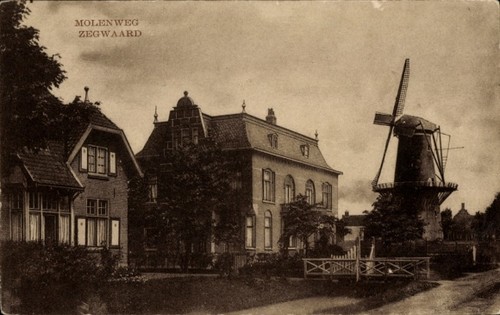 Zegwaart zegwaard - ak,