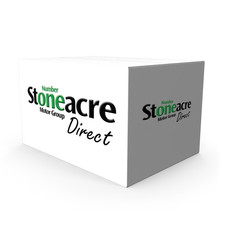 Delphi Set Of 2 Front Discs |