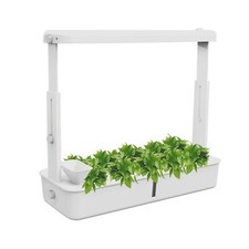 Gewächshaus komplett Set Mini Anzucht Zimmergewächshaus Pflanzentöpfe Treibhaus